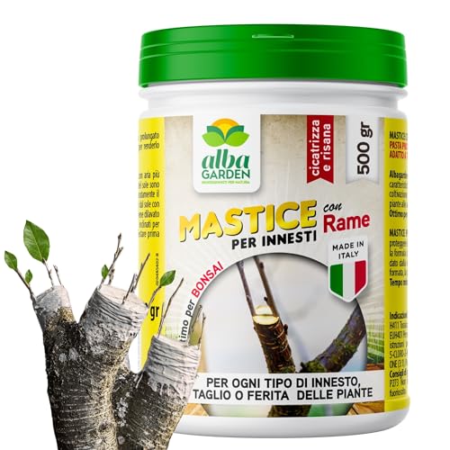 Albagarden - Mastice Per Innesti E Potature ++ Con Rame ++ Antibatterico Pasta Cicatrizzante Curativa Per Ferite Piante Alberi Arbusti Kit Bonsai X 500 Gr