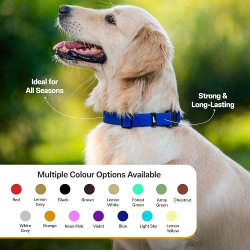 Image of Adil's Biothane Waterproof Dog Collar, Dog Leash & Collar Leash Combo | Heavy Duty TPU Coated Webbing | Adjustable Quick Release Buckle | Odour Resistant (Blue, M-18, Collar only)