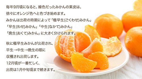 はちやフルーツ 有田みかん 赤秀 2L~Sサイズ 4.5kg の商品画像 3