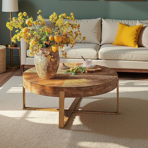 DS-HOMEPORT Round Wood Coffee Table for Living Room - Circle