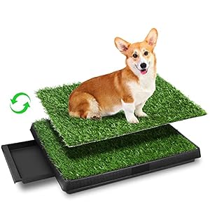 Sailnovo Hundetoilette Kunstrasen Trainingsunterlage