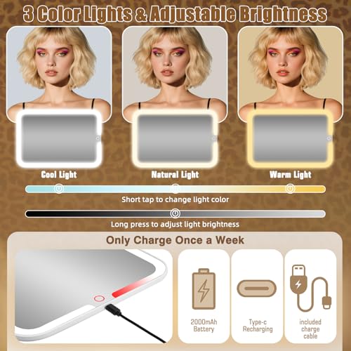 15''X11'' Large Makeup Bag with Mirror