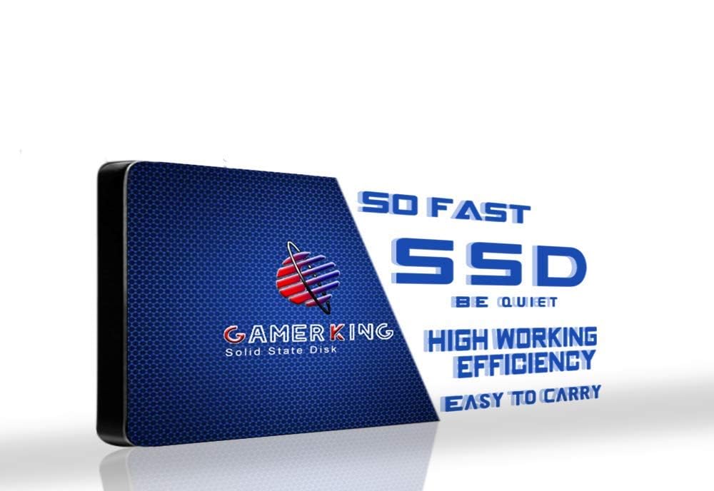 Gamerking SSD 2.5 256GB SATA3 Disco a Stato Solido Portatile all'Interno del Disco allo Stato Solido Ad Alte Prestazioni Hard Disk SATAIII 6Gb/s SSD per Computer/Laptop(256G B, 2.5''-SATA III)