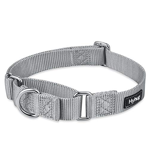 Hyhug Martingale Halsband M Grau | Fluchtsicher & rutschfest mit Zugstopp - Robustes Nylon für Training & Spaziergänge - Ideal für kleine & mittelgroße Hunde