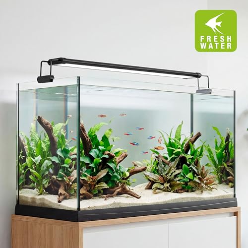 Éviter les algues d'aquarium avec la rampe LED programmable Hydor 36W - 4