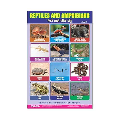 Image of ESCAPER Reptiles Educational Charts for Kids Learning (11.5 x 17.5 Inches), Study Material, Learning Books, Posters