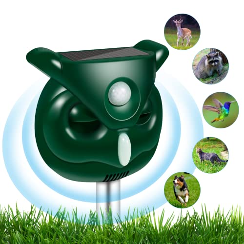 Guide To Find The Best Cat Repellent Devices To Buy Online BNB