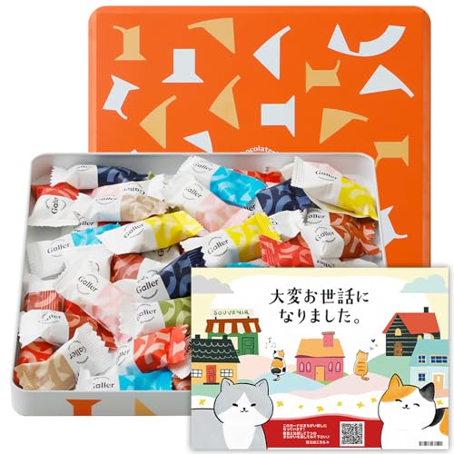 退職お礼ギフト ガレー Galler チョコレート ベルギー王室御用達 ナノバー 50個入り 食べ物 お菓子 スイーツ 高級 2025 メッセージカード 間違い探し 手さげ袋付き