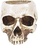 ChezMax Skull Planter Suger Holder Resin Flower Succulents Pot Skeleton Flowerpot Candy Bowl Halloween Dish Statue Sculpture Skeleton Indoor Outdoor Decoration