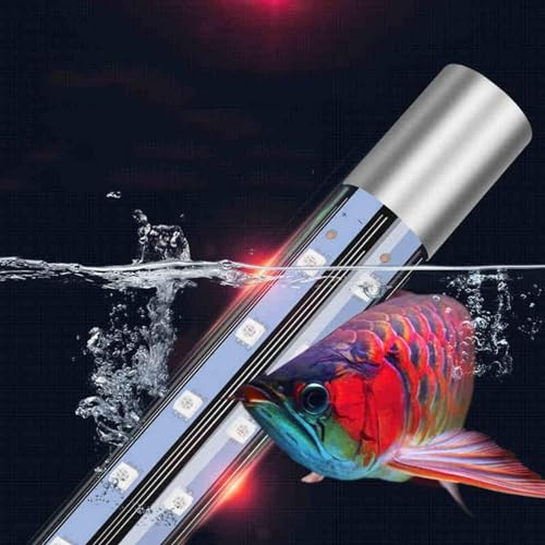 Image of VAYINATO Glass Rs Electricals Double Row High Brightness Wrgb T8 Led Light For Aquarium Fish Tank (Corded Electric, C60 | 52 Cm Led Length | Suits For 2-3 Ft Tank) By Petzlifeworld, Silver