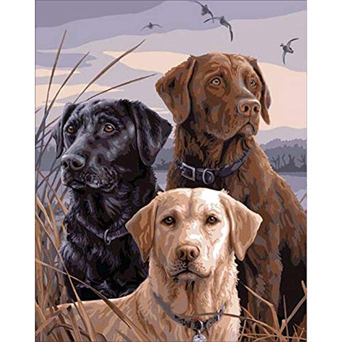 DIY 5d diamante Kit de Pintura,Perro Sunnay 5D diamond painting Completo Full,Pinturas Diamantes Decoración,25X30cm