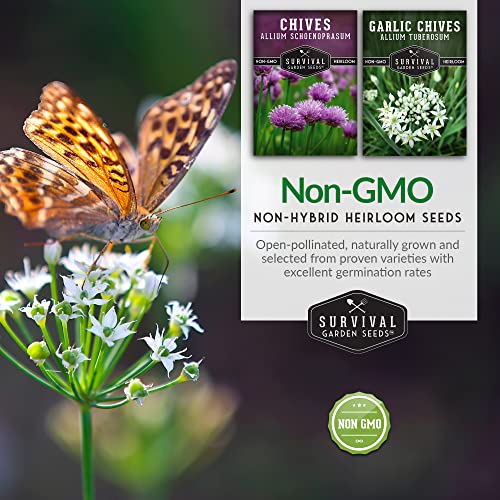 Chive Seed Collection - Common & Garlic Chives – 2 Packets of Non-GMO Heirloom Open-Pollinated Herb Seed Varieties to Plant in Your Vegetable Garden – Seed Saver Instructions - Survival Garden Seeds - Image 5