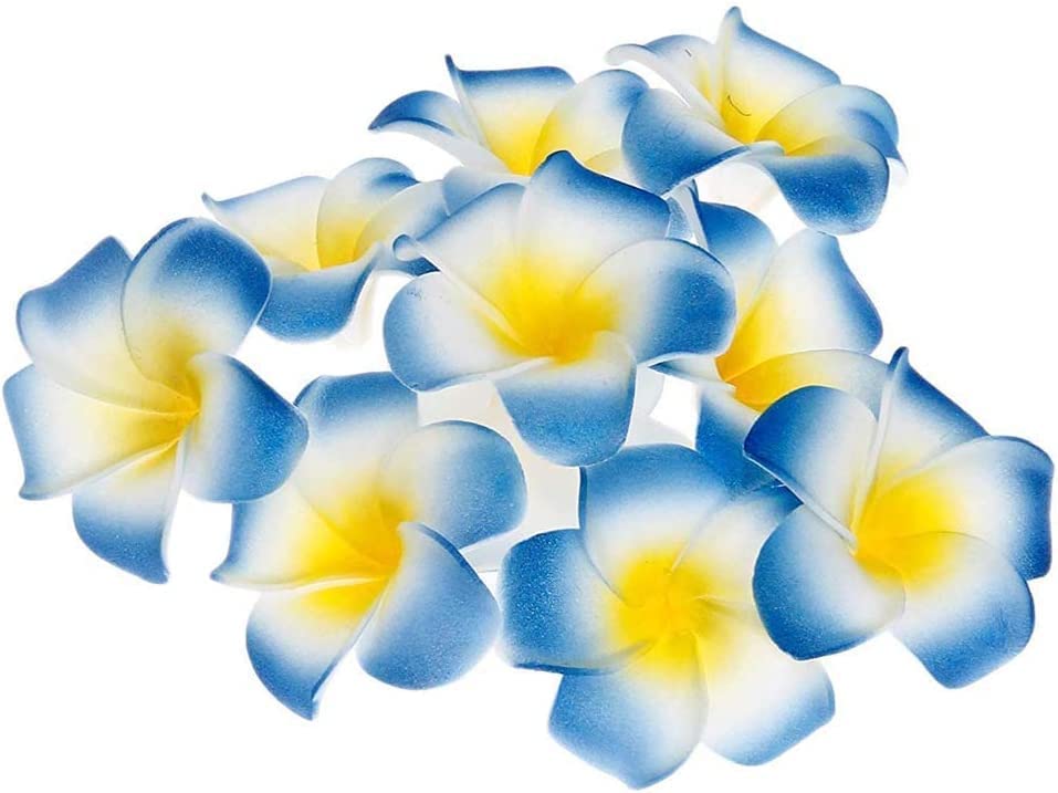 See full amazon price history chart for ALEVAN 2.4 inch Artificial Plumier Rubric Hawaiian Flower Petals Hair Hat Wreath Floral Hawaiian Foam Frangipani Flowers for DIY Home Beach Wedding Party Decoration (24, Blue) ALEVAN 2.4 inch Artificial Plumier Rubric Hawaiian Flower Petals Hair Hat Wreath Floral Hawaiian Foam Frangipani Flowers for DIY Home Beach Wedding Party Decoration (24, Blue) (B0BMX2DS38) Amazon Price History, Amazon Price Tracker