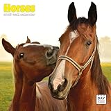 Dayplanner Publishing Horses Calendar 2026, Large Wall Calendar, 16 Month, Horses Gift Animal Calendar