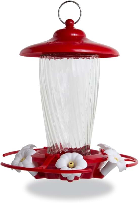 Amazon.ca hummingbird feeder