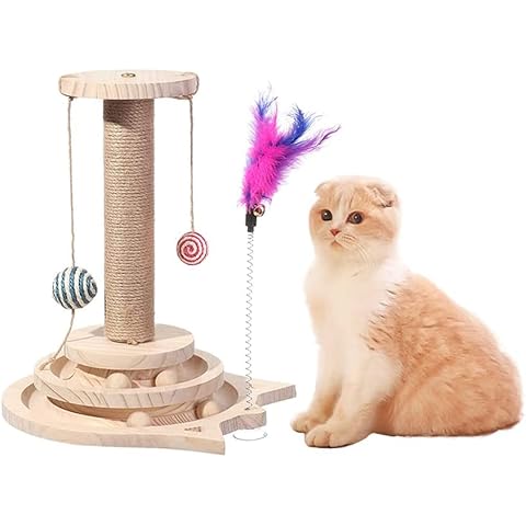 Marchul Cat Toys, Cat Scratching Post with Dangling Ball, Cat Track Ball Toy Set, 2-Level Turntable Roller Toys with Feather Stick for Cat Kitten Cover