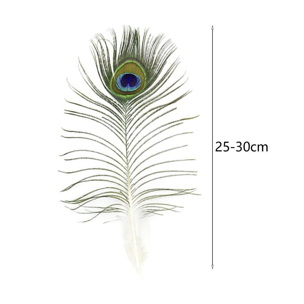 VoilaLove Lot de 100 plumes de paon naturelles avec œil - 25-30 cm - Pour fête de mariage, loisirs créatifs, décoration d'intérieur