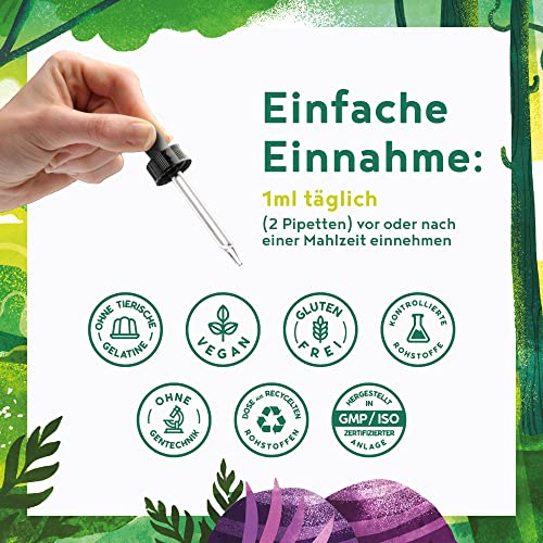 Kräuter Tropfen - Verdauungs- und Bittertropfen - 14 heimische Kräuter, Wurzeln und Blüten - Vegan und HPCL-Laborgeprüft - 50ml