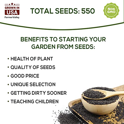 Basil Seeds for Planting Home Garden Herbs - Individual Pack of 550+ Heirloom Seeds, Suitable for Outdoors, Indoors, and Hydroponics - Non-GMO, Non-Hybrid, Untreated, and USA Grown Variety - Image 2