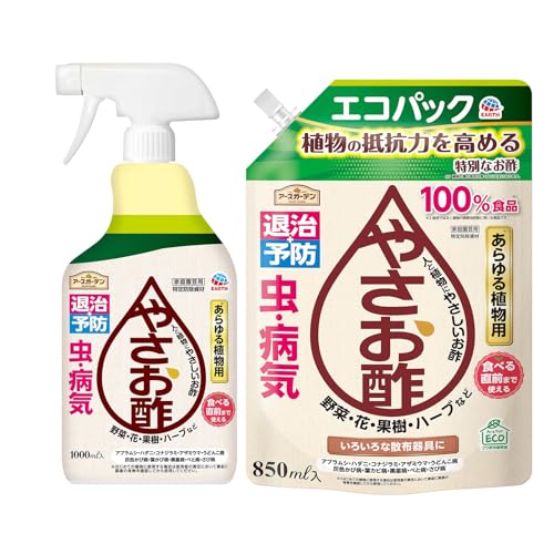 A[XK[f yZbgz ₳| 1000ml & H|100%EEۍ Xv[ ₳|GRpbN 850ml A K[fjO | ƒ؉ aC Q \h Q΍
