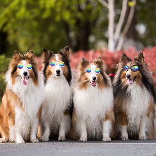 COYUN 2 Stück Sonnenbrille für Hunde, Hundebrille für Kleine Hunde UV Schutz Winddichte Wasserdichter, Haustier Sonnenbrillen mit Einstellbar Gummiband, Schwarz, Rot