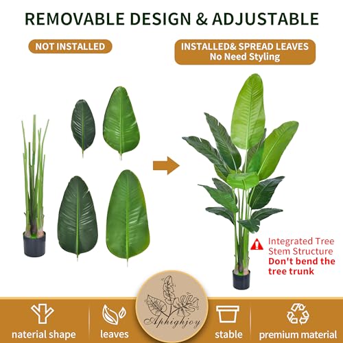 Review de Planta ave del paraiso precio disponible en línea. 23 Imagen adicional