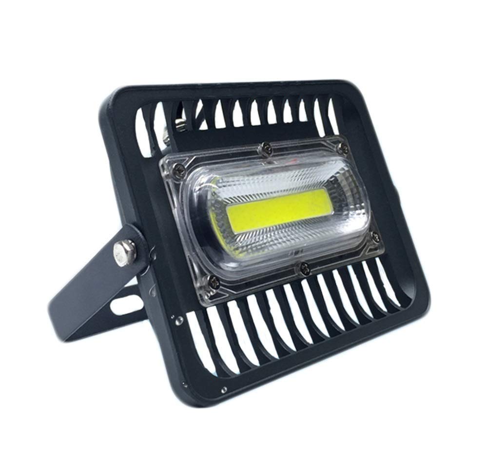 ZHANGBDOutdoor Security LED Flood Lights, Waterproof IP67 (Size : 30w)