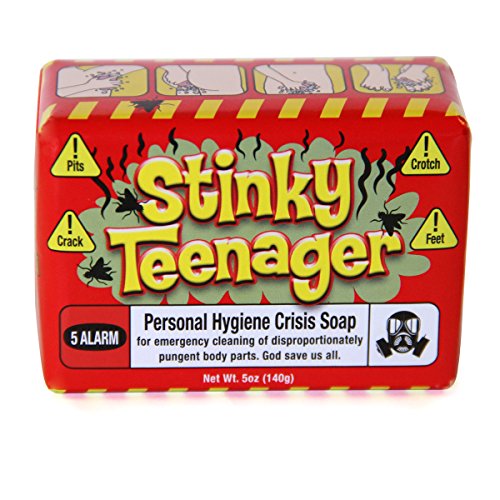 Stinky Teenager bath and body bar soap