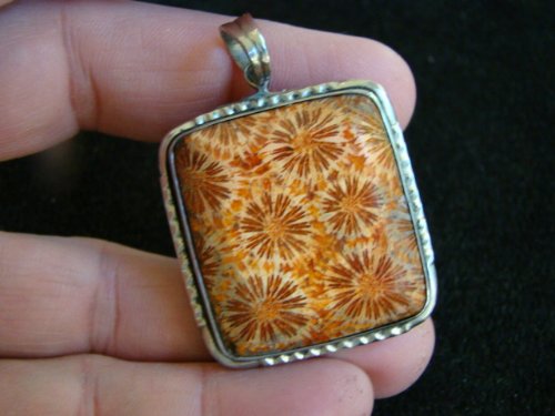 Eld6501 Rectangular Coral Fossil Cab in Silver Charm