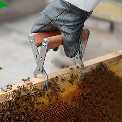 AUNMAS Beehive Clip Stainless Steel Bee Frame Holder Clamp Tong Lifter Capture Gripper Apiculture Tool Beekeeping Equipment for Beekeeper