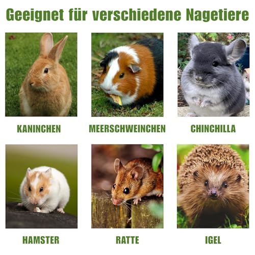 TOKAYIFE Kaninchen Kauspielzeug, 200g Timothy Heu Sticks für Kaninchen, Meerschweinchen, Hamster, Chinchilla, Häschen Leckerli (20 Stück (1er Pack))