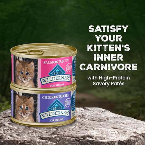 Image of Blue Buffalo Wilderness Kitten Grain-Free Chicken Pate & Salmon Pate Wet Cat Food with DHA, High-Protein & Made with Natural Ingredients, Supports Healthy Growth & Development, 3-oz. Each (6 Count)
