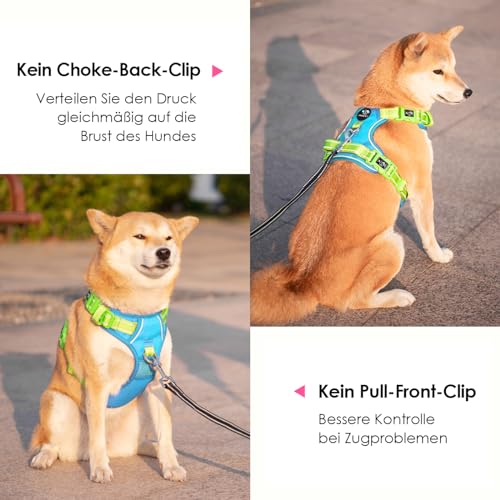 PHOEPET Anti-Zug Hundegeschirr - Reflektierendes Verstellbares Welpen-Sicherheitsgeschirr für kleine, mittelgroße und große Hunde (S,Blaue Basis & Grüne Träger)