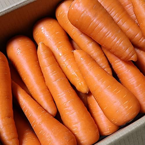 Amazon 無農薬にんじん 10kg 国産 有機栽培 鮮度保持袋セット ジュース用 人参 青森期待の新人商店 にんじん 通販