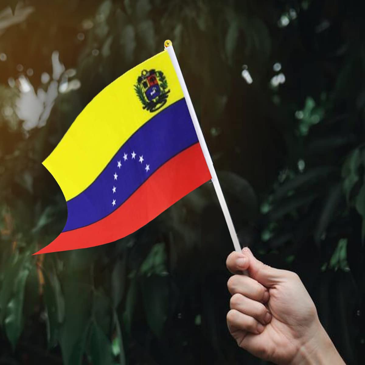 50 Banderas De Palo Mexicana Bandera De Mano México 21x14cm | Meses Sin