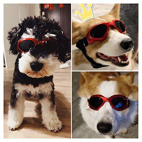 PEDOMUS Dog Goggles Small Dog Sunglasses Adjustable Strap for UV Sunglasses Waterproof Protection for Dogs (RED) - Image 7
