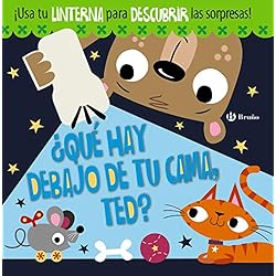 6 Camaras De Seguridad ¿Qué hay debajo de tu cama, Ted? (Castellano - A PARTIR DE 3 AÑOS - MANIPULATIVOS (LIBROS PARA TOCAR, JUGAR Y PINTAR), POP-UPS - Otros libros)