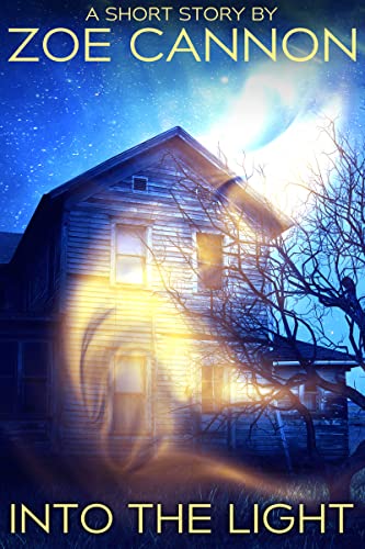 Cover of Into the Light