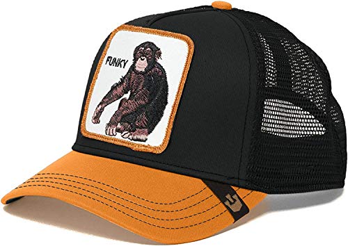 Image of Goorin Bros. Women's Foxy Baby Baseball Hat