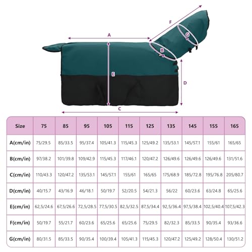 Manta para caballo verde oscuro impermeable de poliéster 155 cm para invierno 7