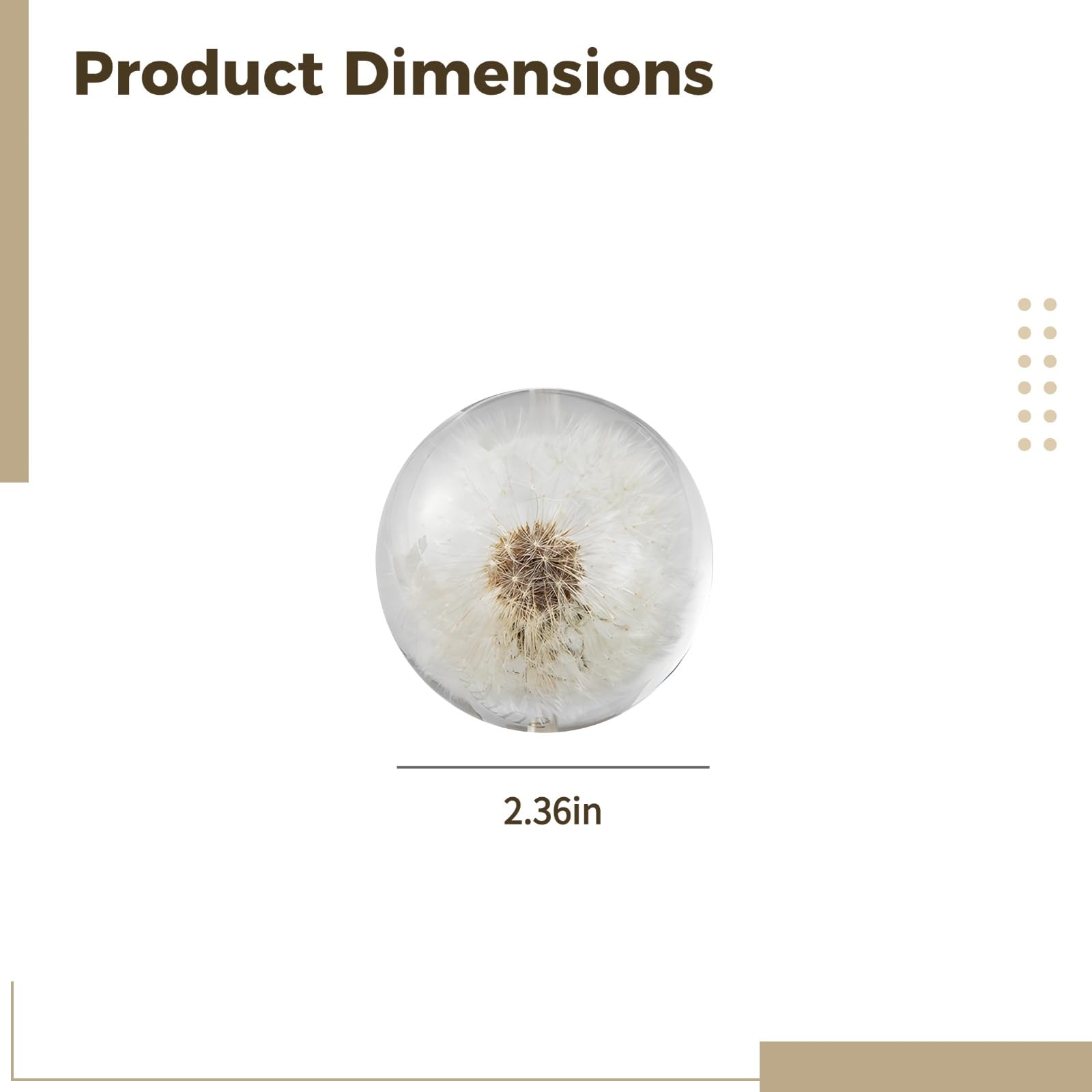 Generisch Sfera di cristallo a forma di dente di leone, vero fiore conservato, 6 x 6 x 6 cm, fermacarta per scrivania, decorazione romantica per tavolo e casa