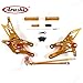 Arashi Regolabili Poggiapiedi Pedane Per HONDA CBR1000RR 2004-2007 / CBR600RR 2003-2005 2006 Accessori moto Posteriori Pedale Pedalino Oro CBR 600 1000 RR CBR600 CBR1000 600RR 1000RR