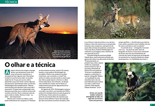 A Natureza de Luiz Claudio Marigo (Coleção - 4 livros)