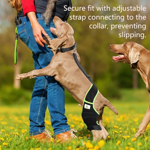 Image of Dog Knee Brace for Hind Legs with Extra Collar & Strap - Relieves Joint Pain & Discomfort, Enhances Mobility | Supports Recovery from Osteoarthritis, Torn ACL /CCL, Luxating Patella | Adjustable (S)