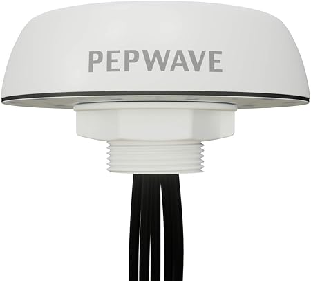 puma mercedes r cat shoes