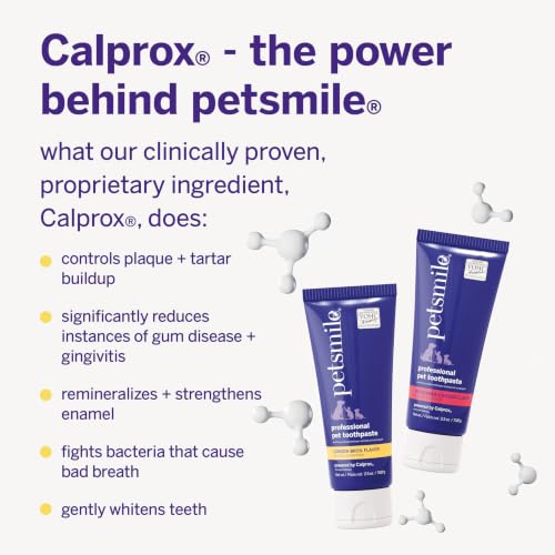 Image of Petsmile VOHC Accepted Pet Toothpaste, London Broil 2.5 Oz, Cats + Dogs | VOHC Accepted, Calprox Powered, Fights Plaque + Tartar, No-Brush Required, Human-Grade, 4-Month Supply, Clinically Proven