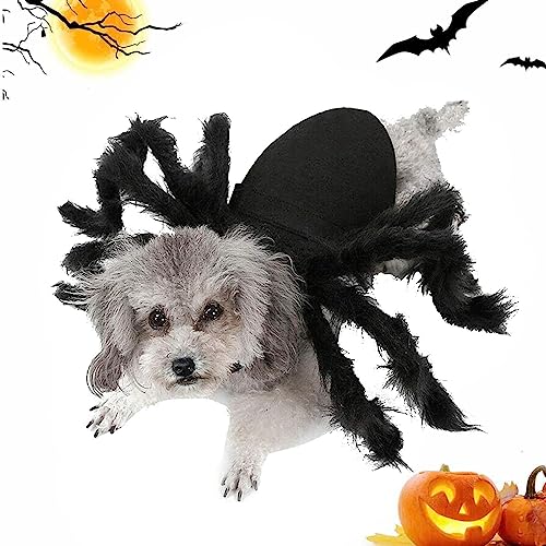 Stronrive Halloween Spinnenkostüm für Hund & Katze - Plüsch Spinne Kostüme für Haustiere