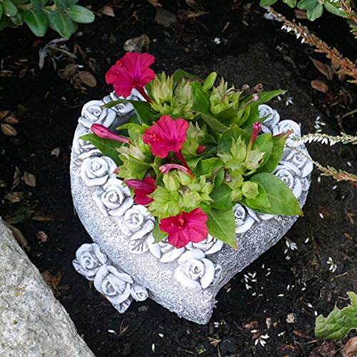 SHACAMO Grabschmuck Pflanzschale in Herzform mit Rosen verziert Cover