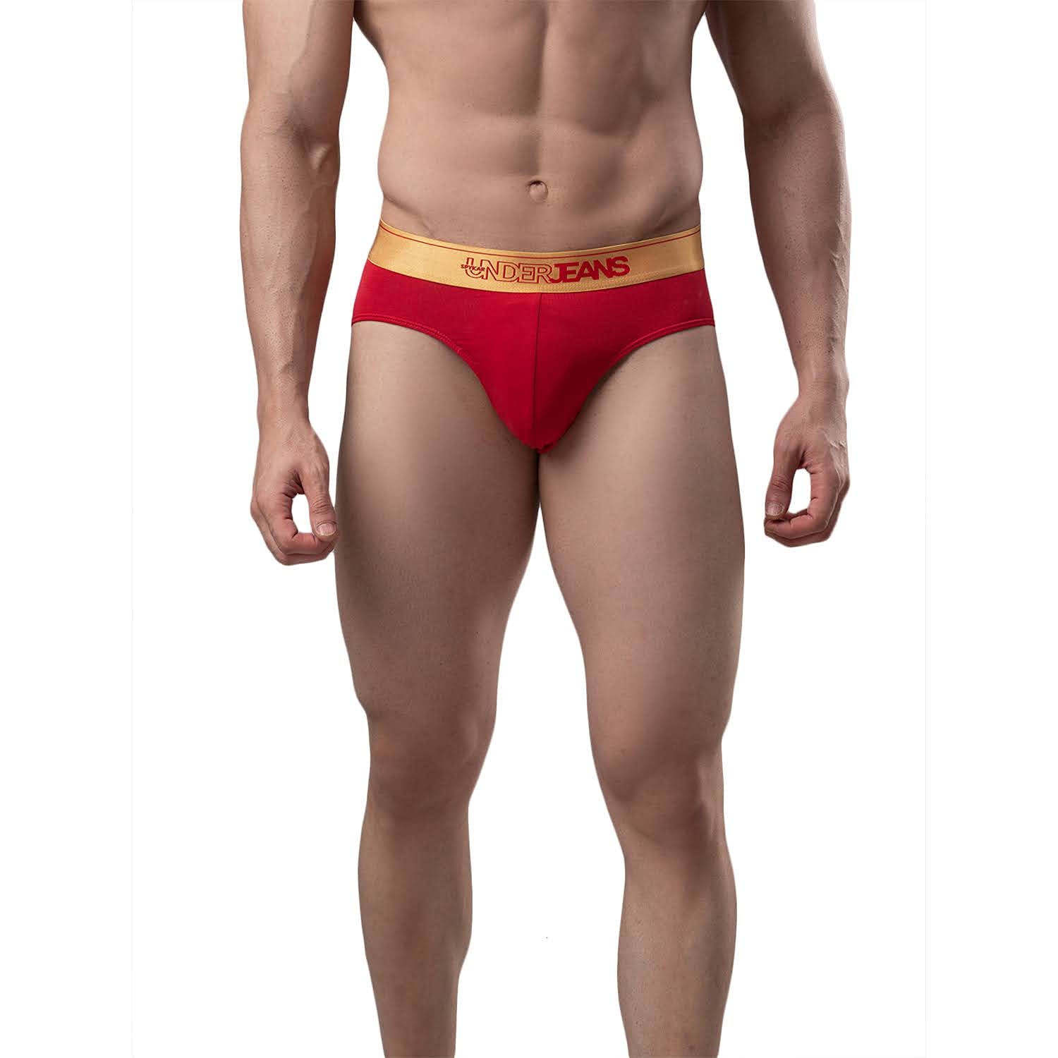 Men Cotton Blend Brief-image-31