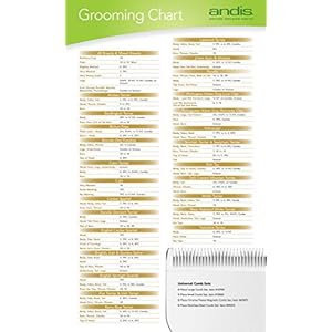 Andis Pet Pet Clipper Blade Size34ht 34inch Cut Length 63910  Cucciolini Doodles Andis pet pet clipper blade size 34ht 34 inch cut length 63910   cucciolini doodles